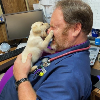 vet playing with a puppy
